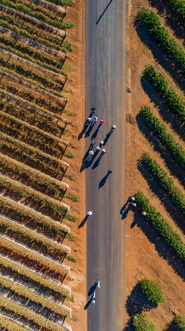 WhatsApp Image 2025-09-12 at 15.23.55 (5)