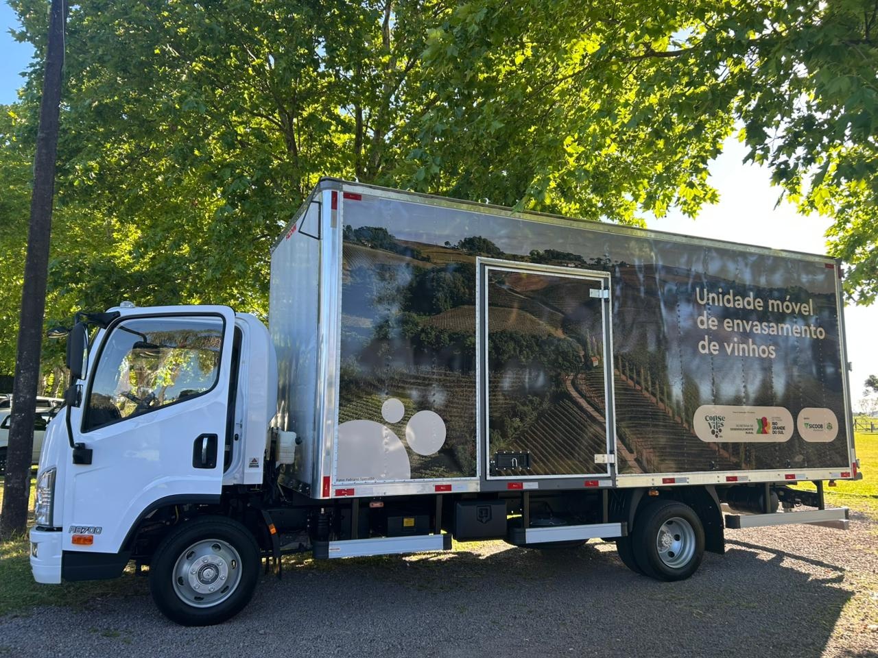 WhatsApp Image 2025-11-11 at 15.10.01