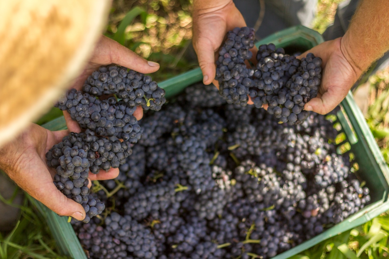 WhatsApp Image 2026-01-26 at 16.40.12 (1)