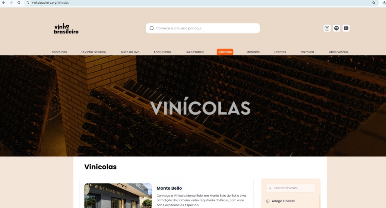Plataforma-Vinho-Brasileiro-2