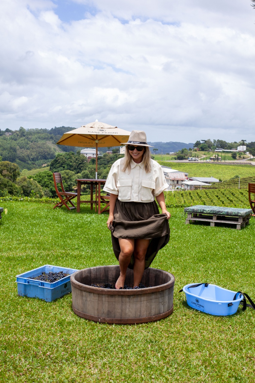 Consevitis-RS fotos vindima 2024 (7)