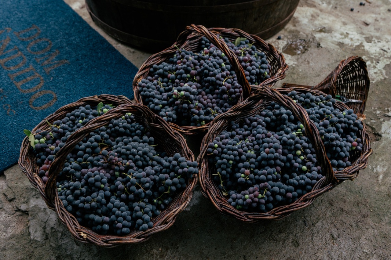 WhatsApp Image 2025-03-18 at 11.19.49