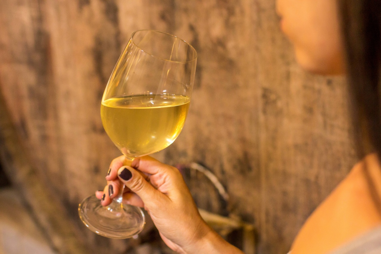 Taças_e_Copos_Serra_Gaúcha_Dandy_Marchetti _206