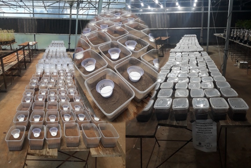 WhatsApp Image 2026-03-04 at 11.06.50 (1)