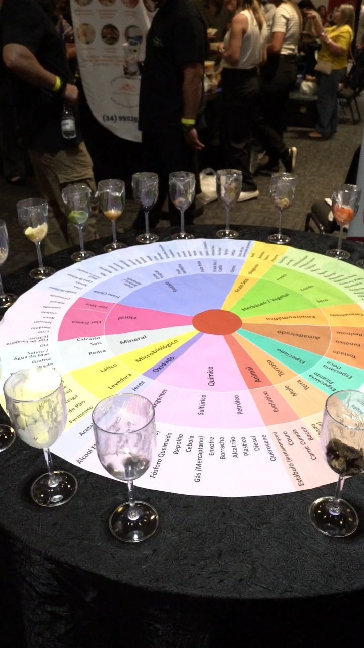 vf_InShot_20250525_113341972_164000