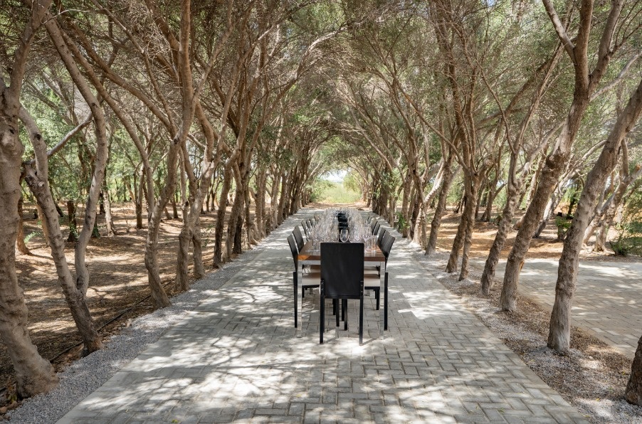 WhatsApp Image 2025-09-12 at 15.23.55 (5)