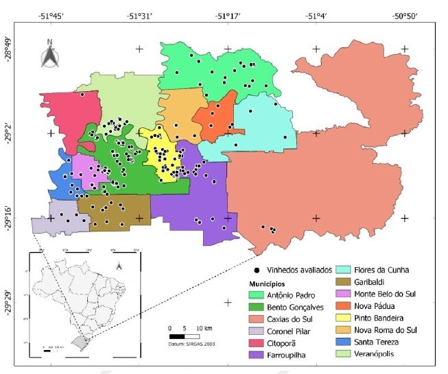 WhatsApp Image 2026-03-04 at 11.06.50 (1)