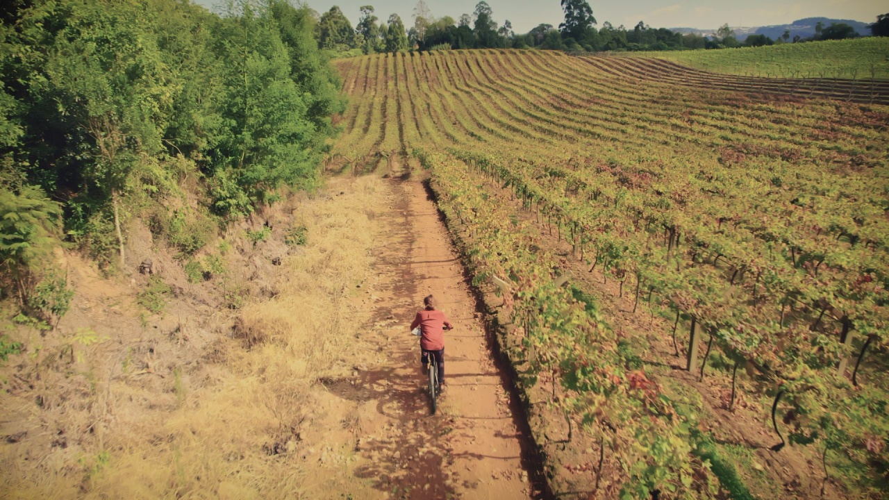 CON24-907-40-VINHO-COM-SELO-700x466