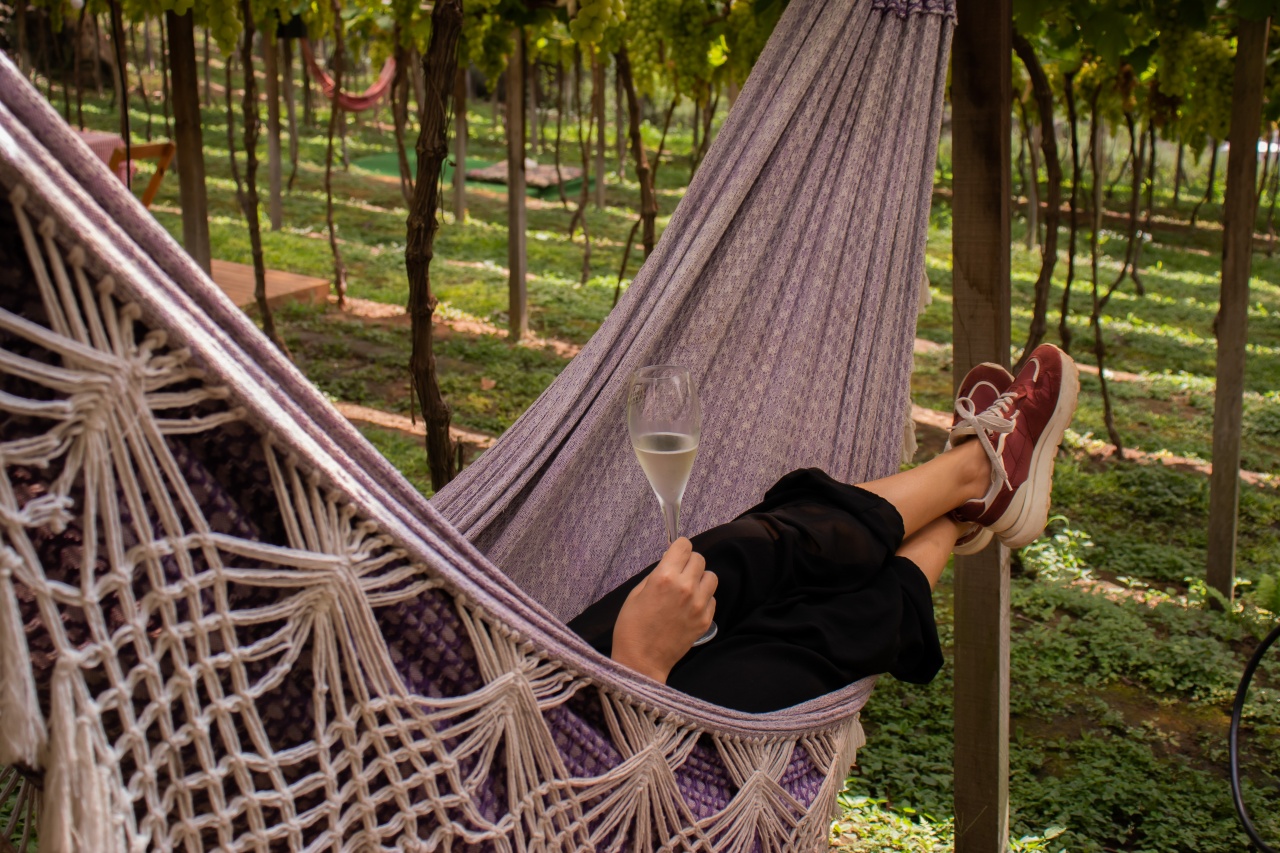 Consevitis-RS fotos vindima 2024 (7)