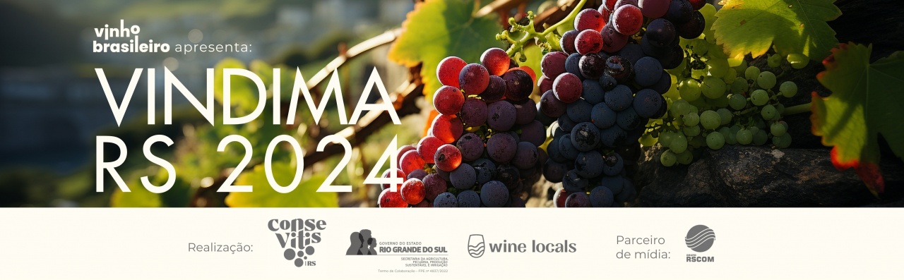 Consevitis-RS fotos vindima 2024 (7)